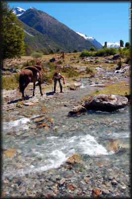 The cowgirl can lead a horse to water.