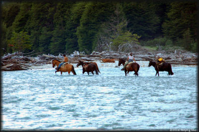 Crossing the Azul - the horses are heading home for the night.