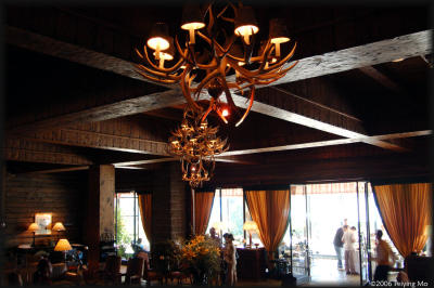 In the lobby, are the chandeliers made of reins?
