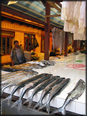 Fresh fish comes daily at the Fish Market