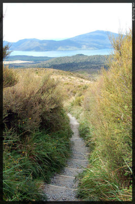 All of a sudden, there is sign of life and the grasses are waist high