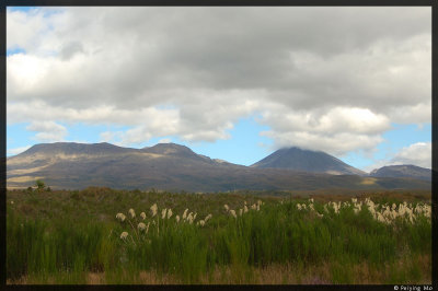 Mt. Tongariro, which blew its top off long ago