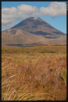 Mt. Ngauruhoe, or Mt Doom in Lord of the Rings