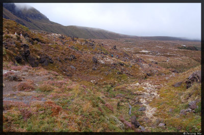 A group of hikers make up a very small element in this vast landscape