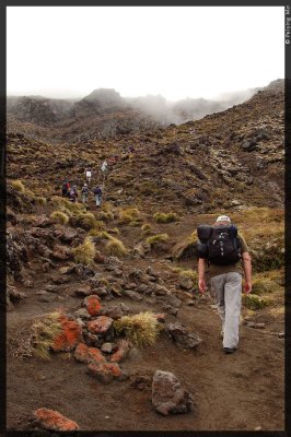 Looking up: 200m elevation gain for a 45 minute hike