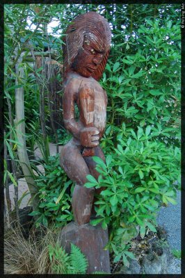 A wooden statue made of kauri or rimu