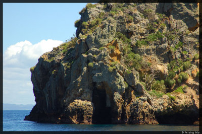 Small caves along the rocky shore