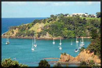 A small harbor near Tutukaka