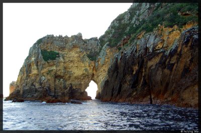 A tunnel in the island