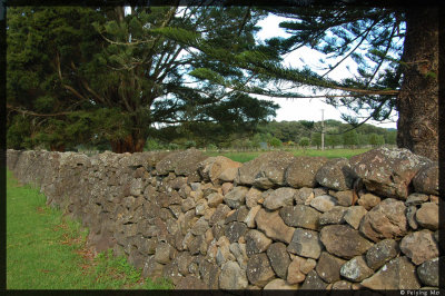 Stone fence near Whangarei