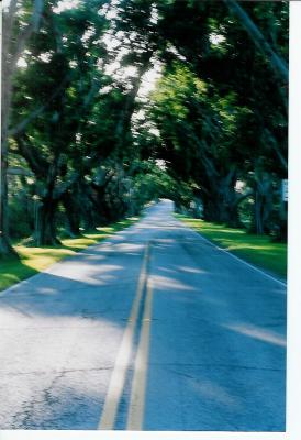 Hobe Sound - 2005