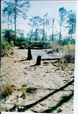 nature preserve 001.jpg