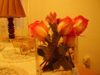 g3/11/179711/3/59045522.easter007.jpg