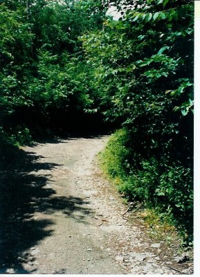 g3/11/179711/3/89941175.lX4FAFBg.jpg
