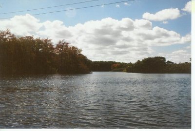 g3/11/179711/3/89941272.pfcBRZv6.jpg