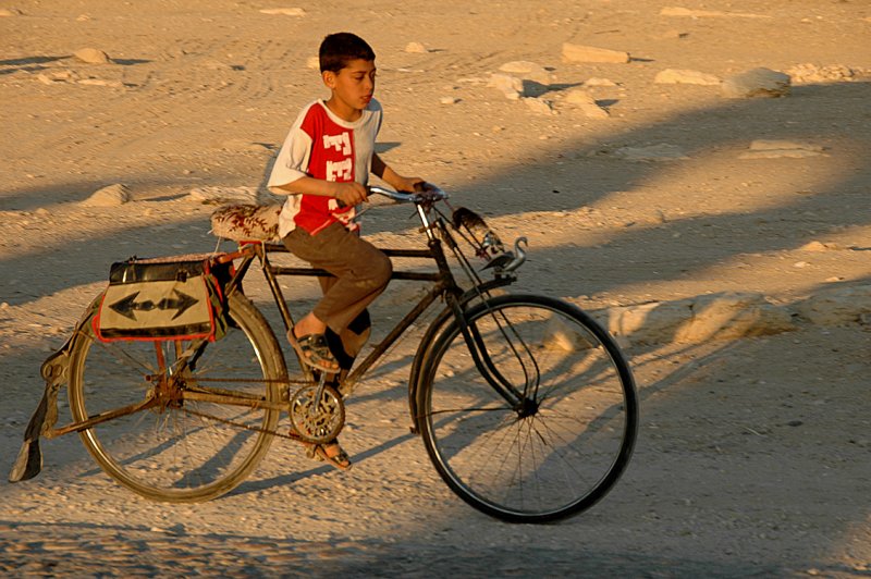 Bicycle