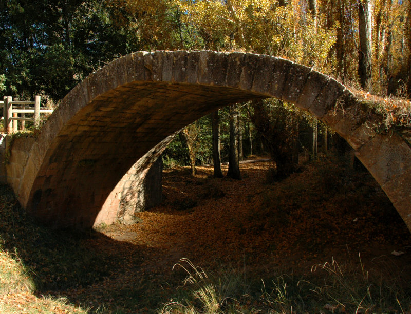 Bridge