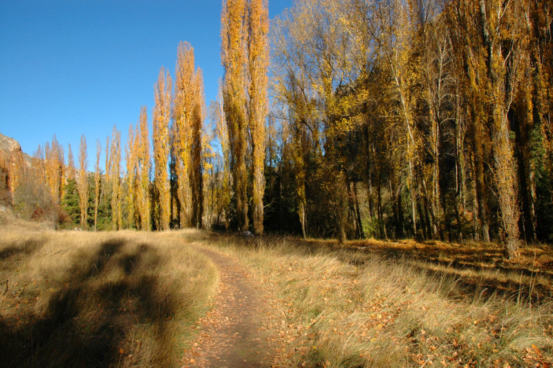 Walk side the Duratn River