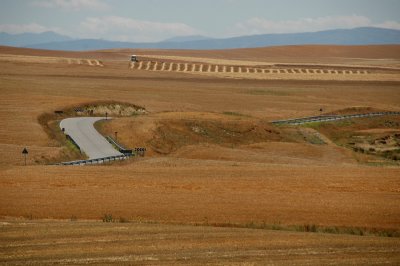 Cereal's Fields - La Moraa (vila)