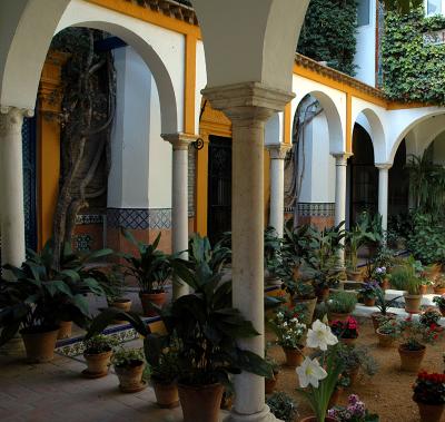 Patio in Callejn del Agua