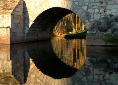 Bridge of Puentedura