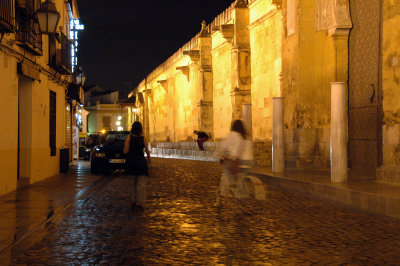 Cardenal Herrero Street by night
