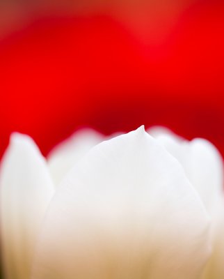 _MG_3611s.jpg