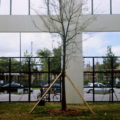 newtree