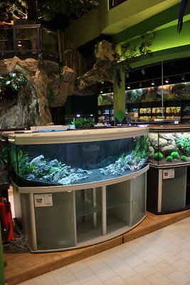 Koelle-Zoo Weiterstadt (Layout and set up by Oliver Knott)