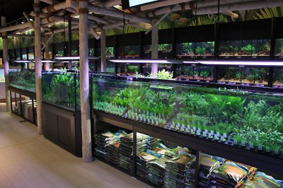 Koelle-Zoo Weiterstadt (Layout and set up by Oliver Knott)