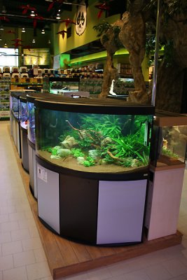 Koelle-Zoo Weiterstadt (Layout and set up by Oliver Knott)