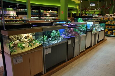 Koelle-Zoo Weiterstadt (Layout and set up by Oliver Knott)