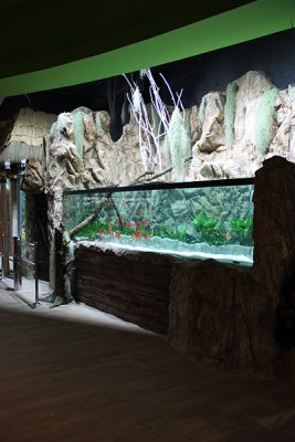 Koelle-Zoo Weiterstadt (Layout and set up by Oliver Knott)