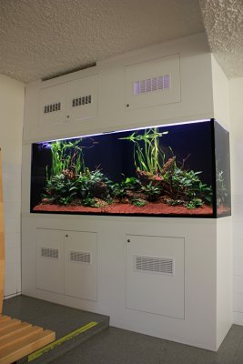 750 Liter LME Aquascape by Oliver Knott