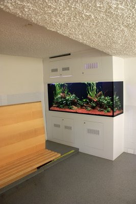 750 Liter LME Aquascape by Oliver Knott