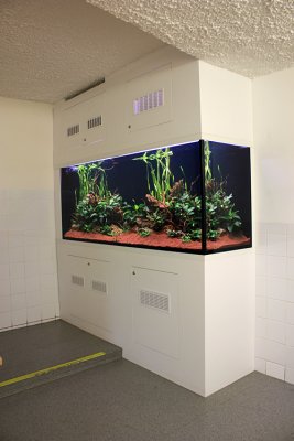 750 Liter LME Aquascape by Oliver Knott