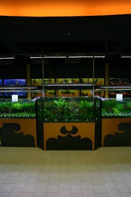 Aquatic Plant Selling Instalation - with Tropica Plants