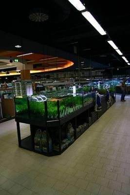 Aquatic Plant Selling Instalation - with Tropica Plants