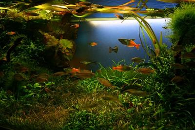135th day
