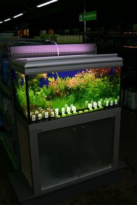 250 Liter - Tropica Aquatic Plant Presentation -