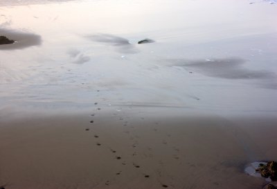 Footprints .jpg