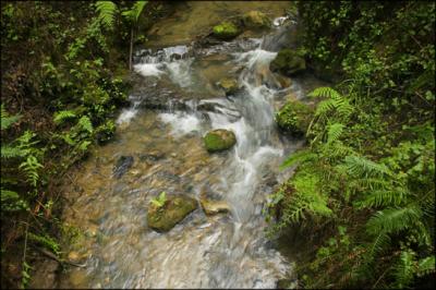 Rapids 32.jpg