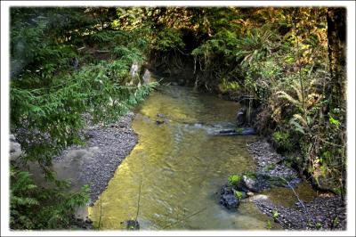 G Creek Gold.jpg