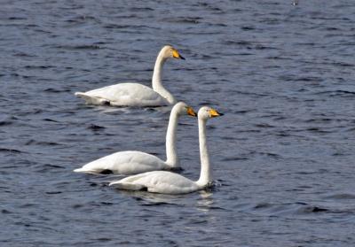 IMG_5251_M.jpg