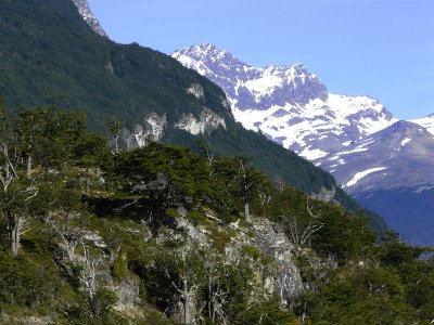 Tierra del Fuego National Park, Argentina