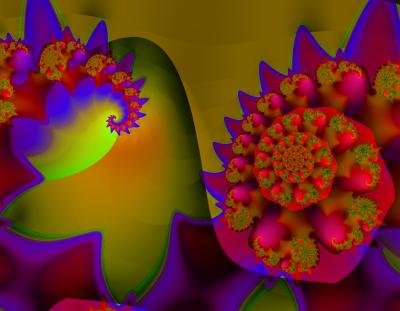 Fractal21d1a5a.jpg