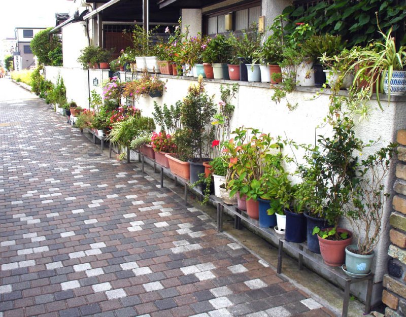 The sidewalks are all very nice and very clean, many plants