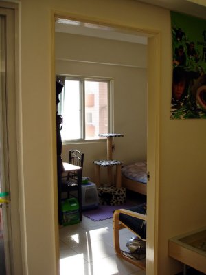 DZ's room (and guest room, and storage room)