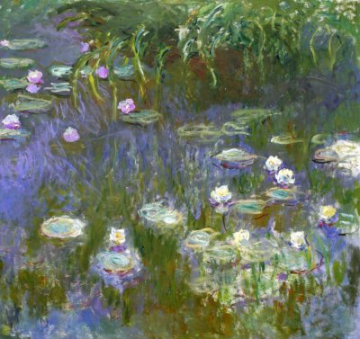 Water Lilies