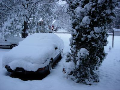 First Snow November 2005.jpg